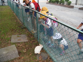 加西市立九会小学校 » うさぎ小屋